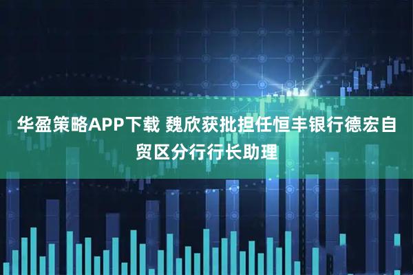 华盈策略APP下载 魏欣获批担任恒丰银行德宏自贸区分行行长助理